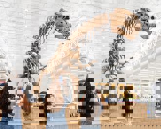 Three female tourists snap photos of a dinosaur fossil in the library lobby.