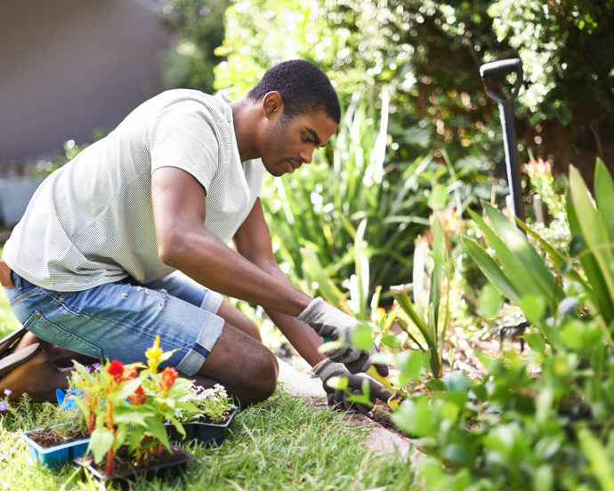 Man kneeling in a backyard garden planting flowers and plants with gloves on a sunny day