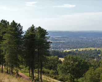 A scenic view from a forested hillside path shows tall pine trees in the foreground and a winding dirt trail cutting through grassy terrain.