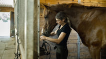 female trainer prepping horse