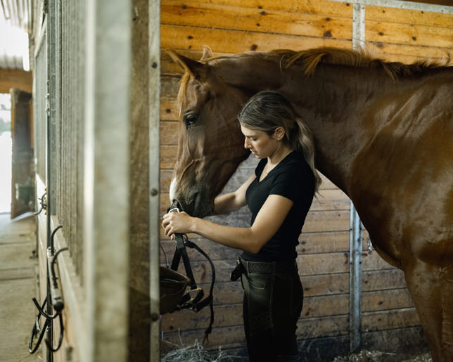 female trainer prepping horse