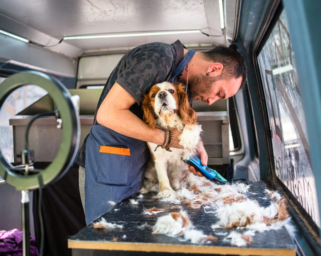 Dog grooming