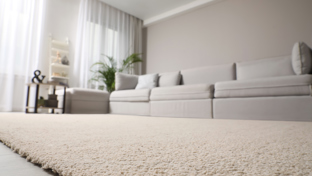 A clean, light beige low-pile carpet in a modern living room with a light gray sofa and white curtains