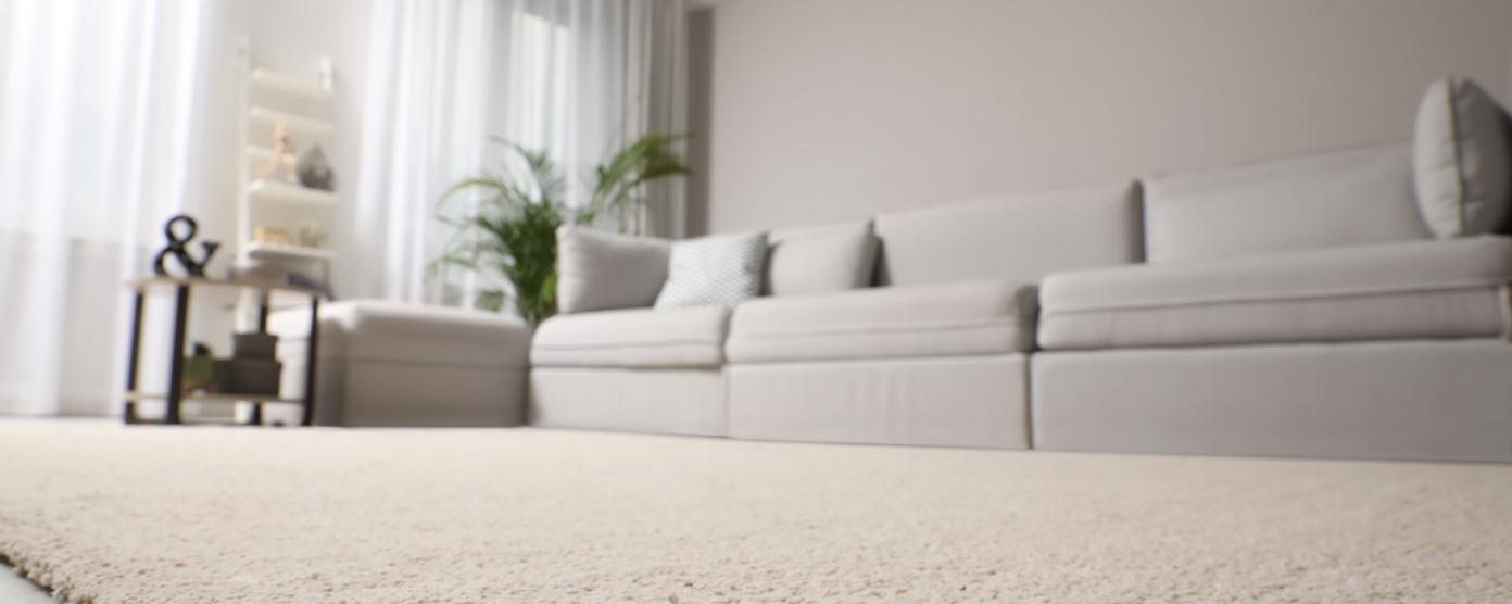 A clean, light beige low-pile carpet in a modern living room with a light gray sofa and white curtains