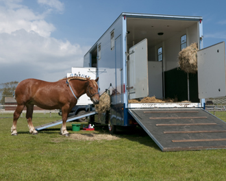 Horse standing next to a blue horsebox on a grassy field, eating hay from a net.
