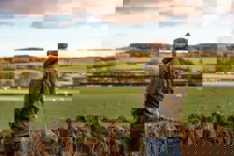 Agricultural supply and feeds.jpg