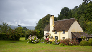 Charming yellow thatched cottage with white-framed windows, surrounded by a lush green garden and colourful flowers.