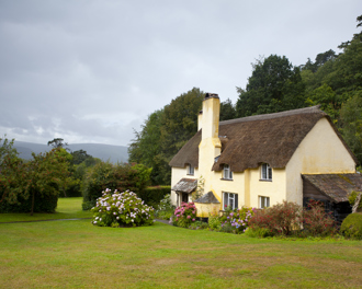 Charming yellow thatched cottage with white-framed windows, surrounded by a lush green garden and colourful flowers.