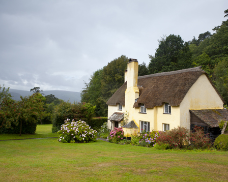 Charming yellow thatched cottage with white-framed windows, surrounded by a lush green garden and colourful flowers.
