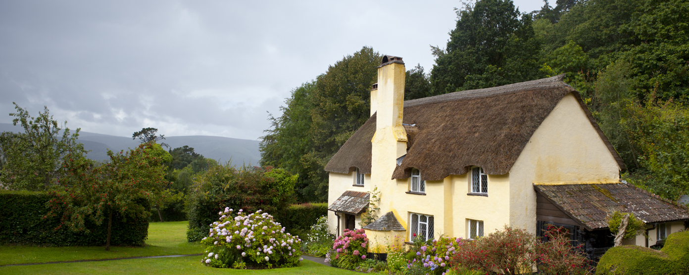 Charming yellow thatched cottage with white-framed windows, surrounded by a lush green garden and colourful flowers.