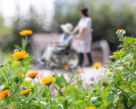Caregiver pushing an elderly person in a wheelchair along a garden path, surrounded by blooming flowers during a peaceful outdoor stroll