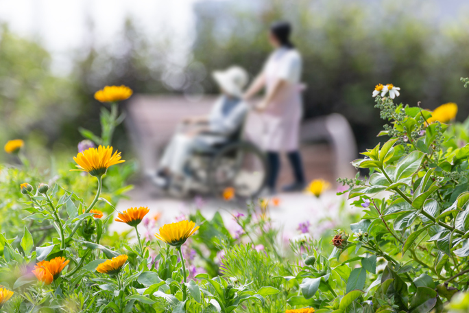 Caregiver pushing an elderly person in a wheelchair along a garden path, surrounded by blooming flowers during a peaceful outdoor stroll
