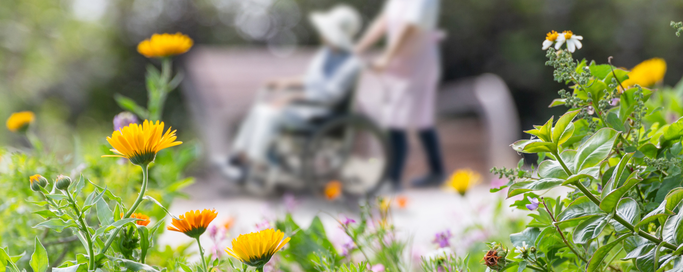 Caregiver pushing an elderly person in a wheelchair along a garden path, surrounded by blooming flowers during a peaceful outdoor stroll