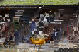 Checking up on Horse 