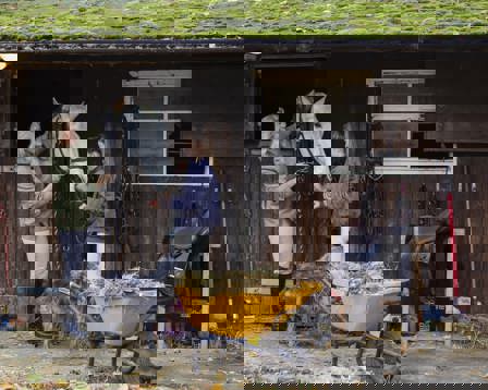 Checking up on Horse 