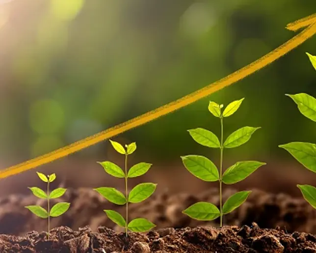 An image showing the stages of plant growth, starting from a small sprout on the left and gradually progressing to a taller, more developed plant on the right.