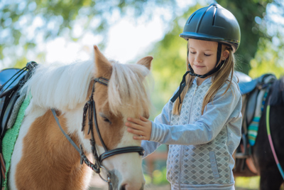 Horse Insurance Explained: What every Horse Owner needs to know