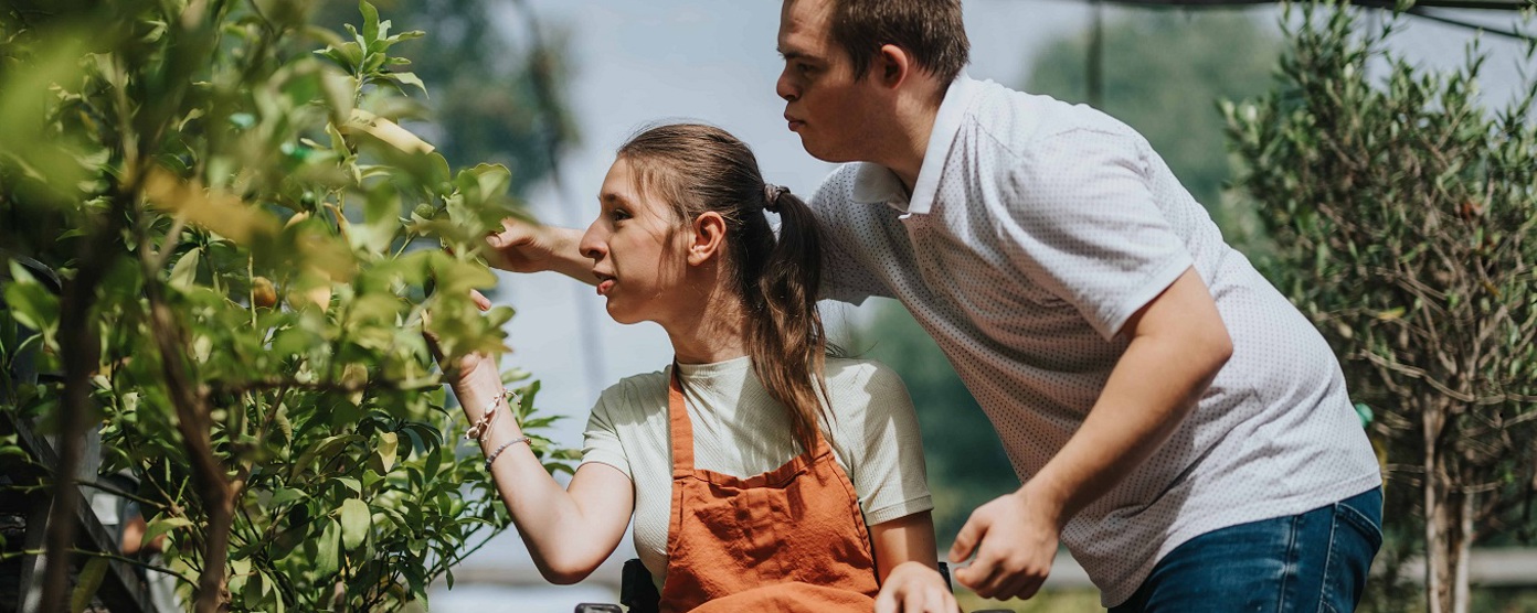 A male carer looks at a flower bush with a lady in a wheelchair