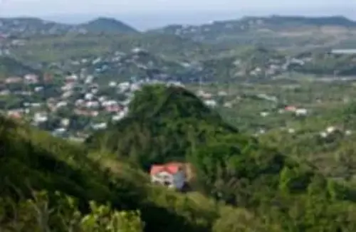 Lush green hillsides dotted with residential buildings and a distinct red-roofed house nestled among dense trees in the foreground