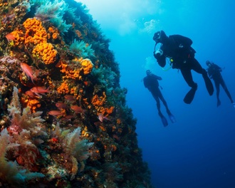 Three scuba divers beside a coral reef