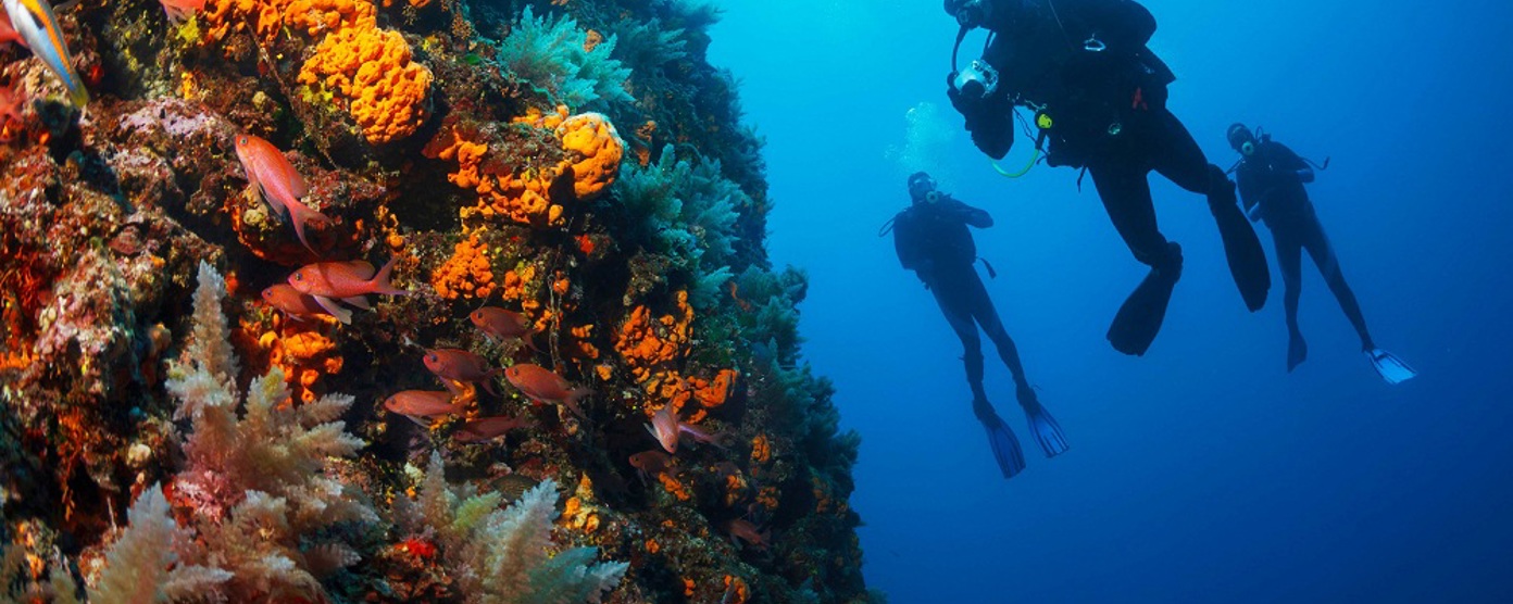 Three scuba divers beside a coral reef