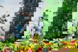 Low-angle view of a Latino man spreading soil conditioner while planting a flowerbed in a neighborhood green space.