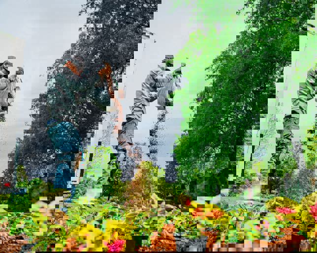 Low-angle view of a Latino man spreading soil conditioner while planting a flowerbed in a neighborhood green space.
