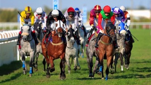 Horses racing on a sunny day