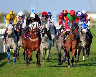 Horses racing on a sunny day