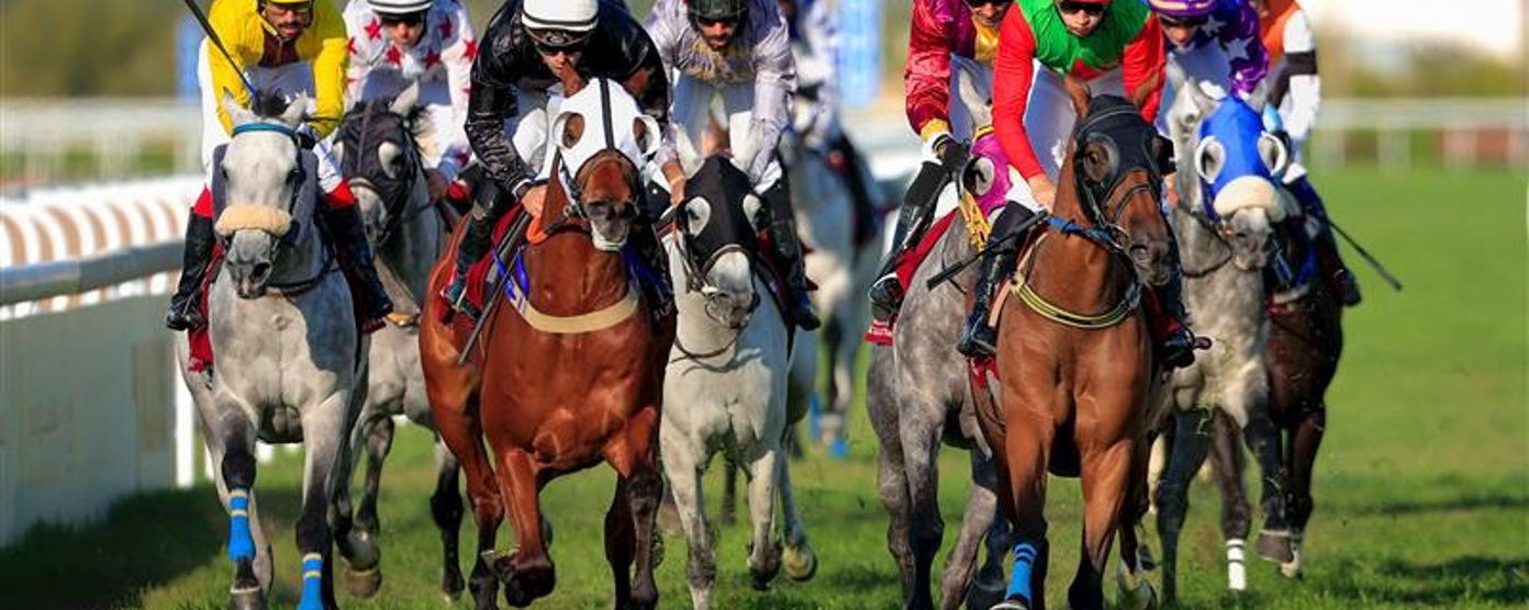 Horses racing on a sunny day
