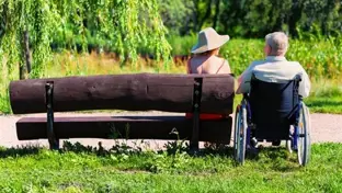 Person in a wheelchair and companion on a park bench facing a lush, sunlit garden.