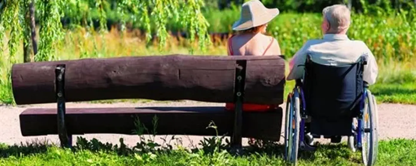 Person in a wheelchair and companion on a park bench facing a lush, sunlit garden.