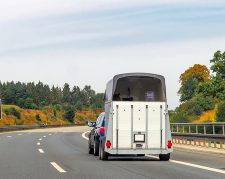 Car towing a box-style trailer on a curving highway, rear view with trees and guardrail