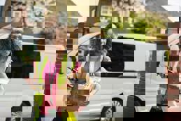 Parcel courier with van