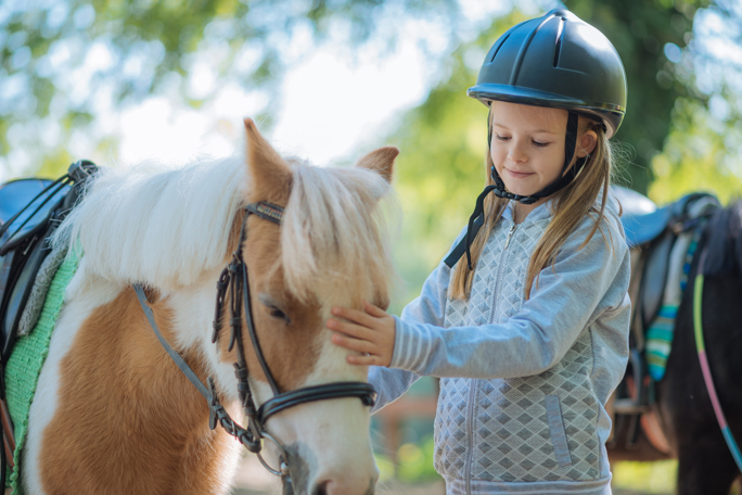 A young girl is gently stroking the forehead of a small brown-and-white horse.