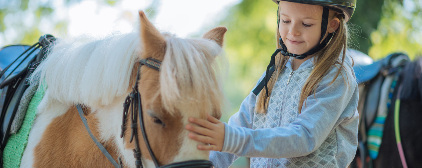 A young girl is gently stroking the forehead of a small brown-and-white horse.