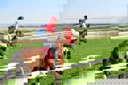 Horse racing
