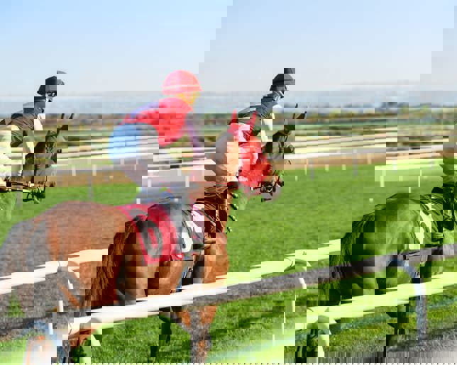 Horse racing