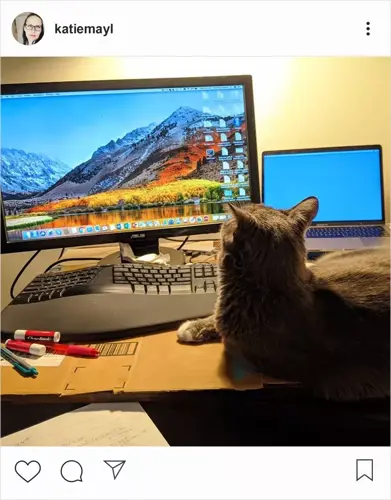 A grey cat lounges on a cardboard box in front of a home office setup, looking at a large desktop monitor.