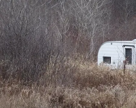 Small white caravan sitting in an overgrown field with leafless trees in the background