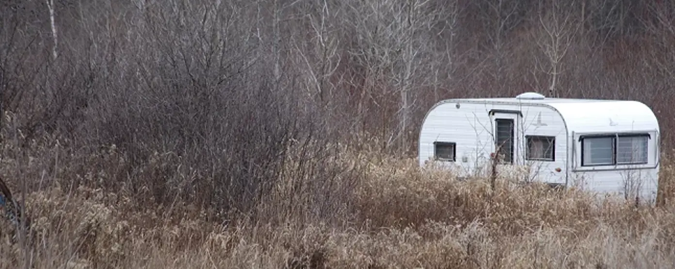 Small white caravan sitting in an overgrown field with leafless trees in the background