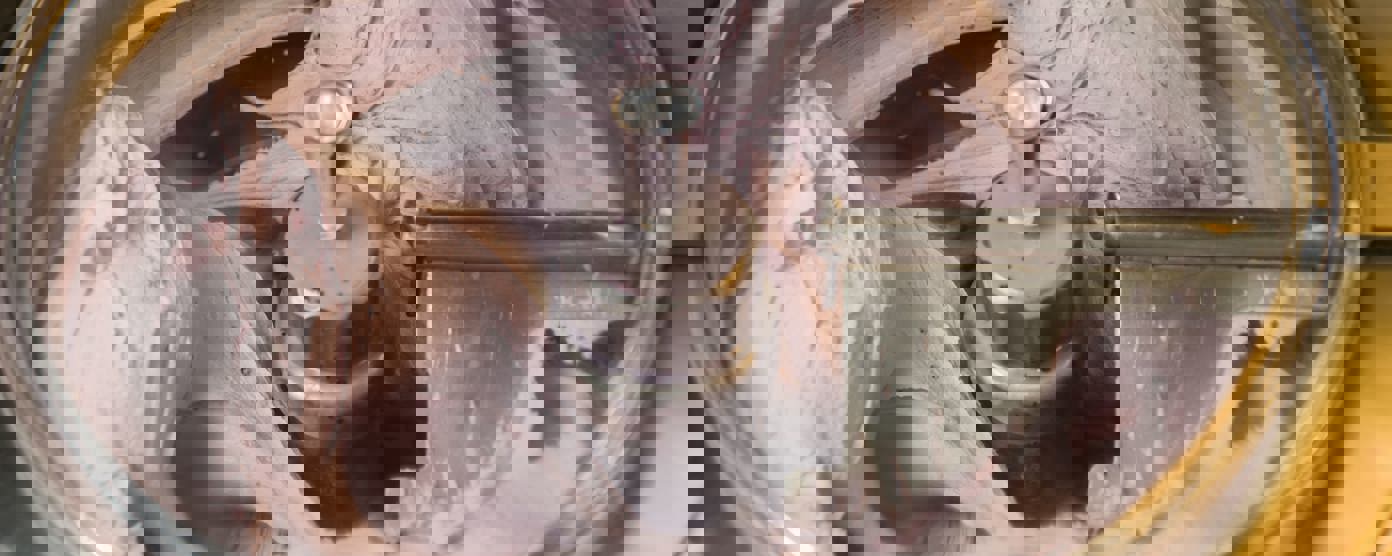 Ice cream preparation with different tools, ingredients, and machines