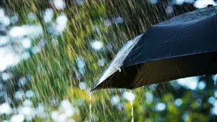 Black umbrella sheltering from a heavy rainstorm with raindrops falling outdoors