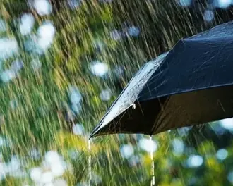 Black umbrella sheltering from a heavy rainstorm with raindrops falling outdoors
