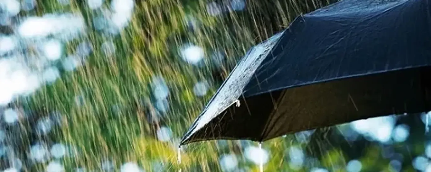 Black umbrella sheltering from a heavy rainstorm with raindrops falling outdoors