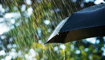 Storm Claims: What You Need To Know