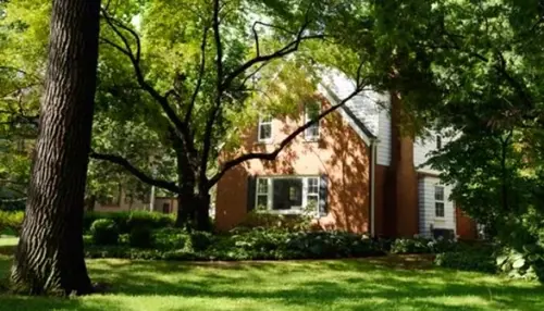 A two-story brick house with white trim and multiple windows and partially visible through the lush green foliage of several large trees.