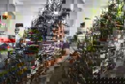 Male working in a garden centre using digital tablet