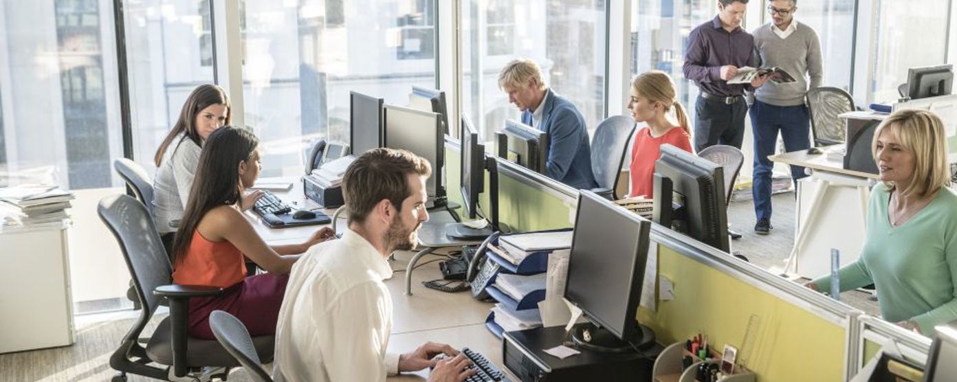 group of employees sitting on a bank working