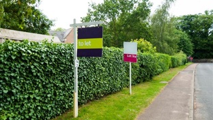 To let signs on a grassy verge beside a hedge